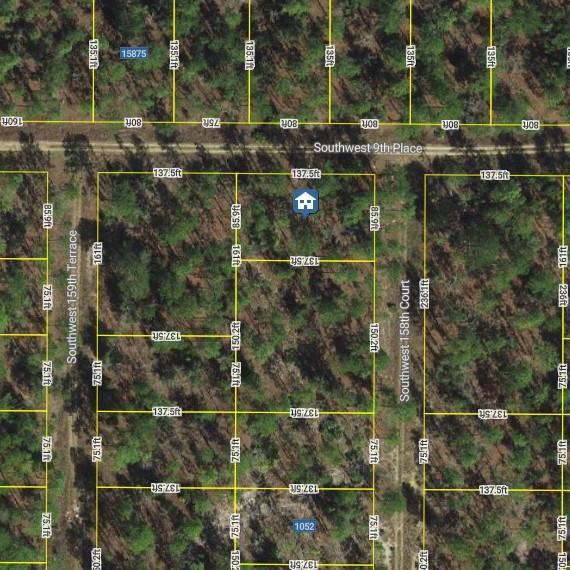 Other in Ocala 2
