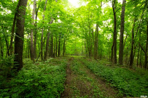 0000 W Timber Rd, Mapleton, IL, 61547 | Card Image