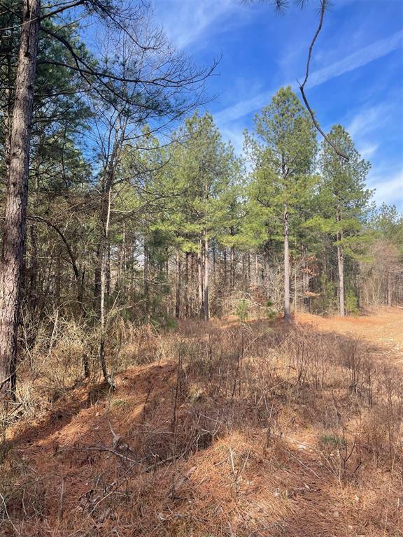 Land in Broken Bow 4