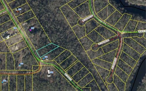 LOT46 Ne Blue Springs Church Rd, Lee, FL, 32059 | Card Image