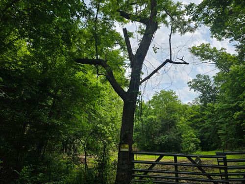 000 Sunny Slope Dr, Crane, MO, 65633 | Card Image