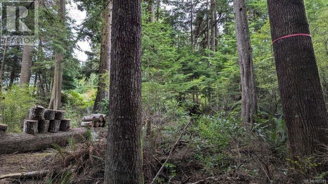 542E Larch St, Home with 0 bedrooms, 0 bathrooms and null parking in Alert Bay BC | Image 12