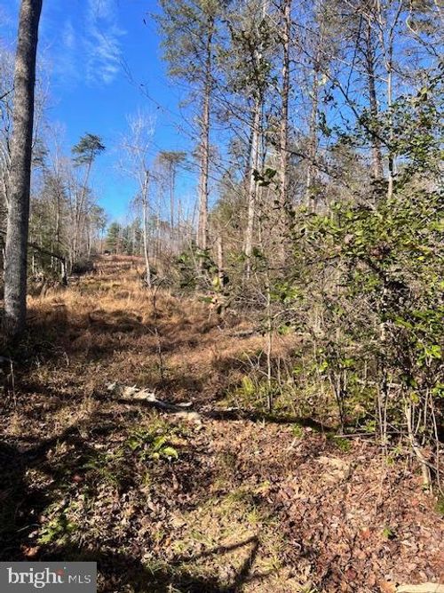 Lot 5998 Vermont Road, RHOADESVILLE, VA, 22542 | Card Image