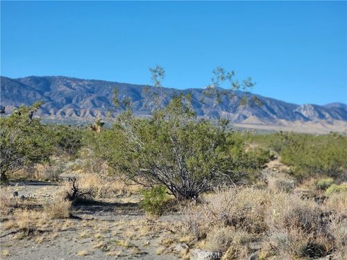 0 Buckwheat Rd, Pinon Hills, CA, 92372 | Card Image