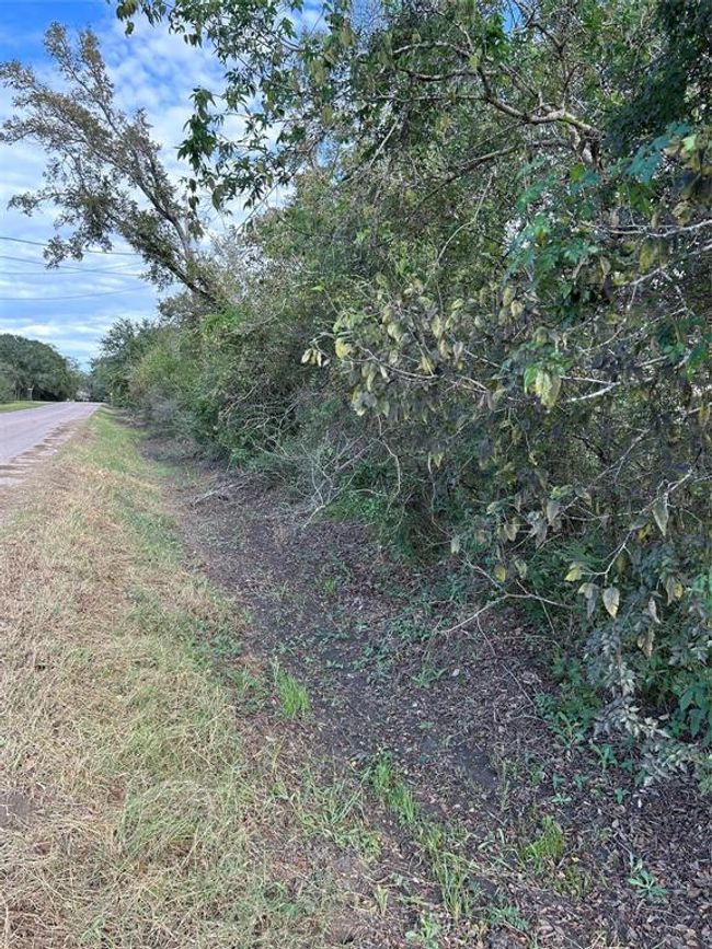 00 N Belt St, Home with 0 bedrooms, 0 bathrooms and null parking in Brazoria TX | Image 4