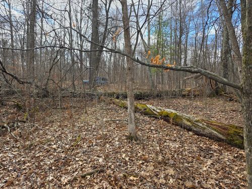 xxxx Jengeough Road, Riverton, MN, 56455 | Card Image