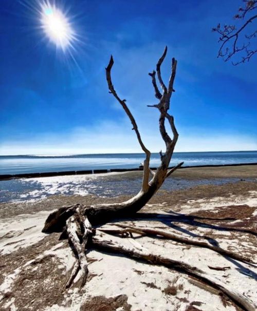 5 Indian Mound Dr, Eastpoint, FL, 32328-3554 | Card Image