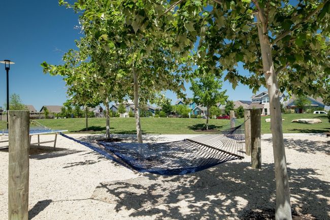 Unwind in the community hammock, the perfect place to kick back, read a book, or simply enjoy a moment of peace surrounded by nature | Image 32
