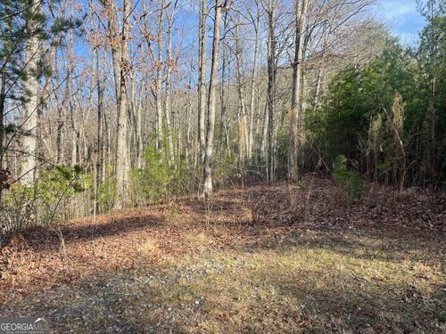 LOT 14 Big Cove Dr, Hiawassee, GA, 30546 | Card Image
