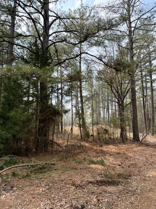 0 Belle Bower Texas Line Road, Logansport, LA, 71049 | Card Image