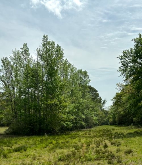 TBD 013 County Road 242, Oakwood, TX, 75855 | Card Image