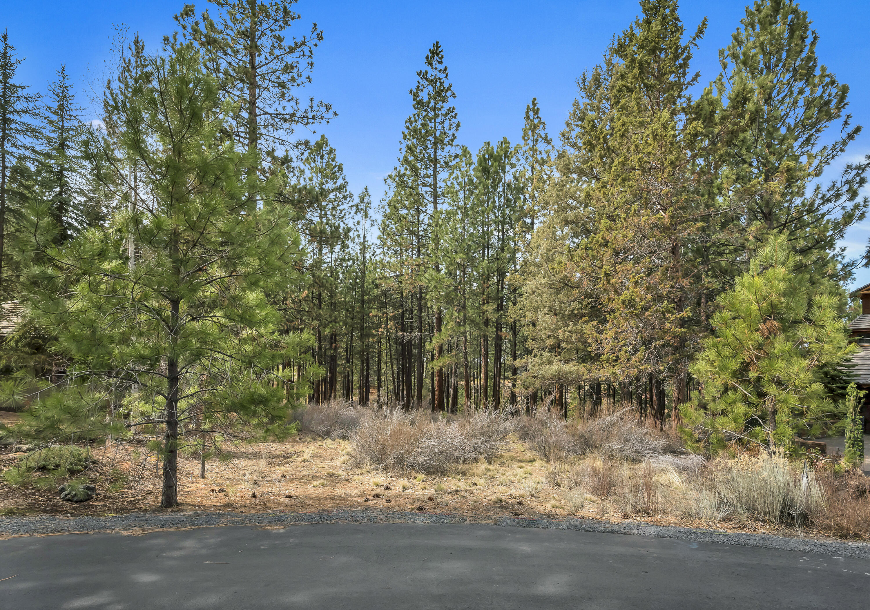 Land in Bend