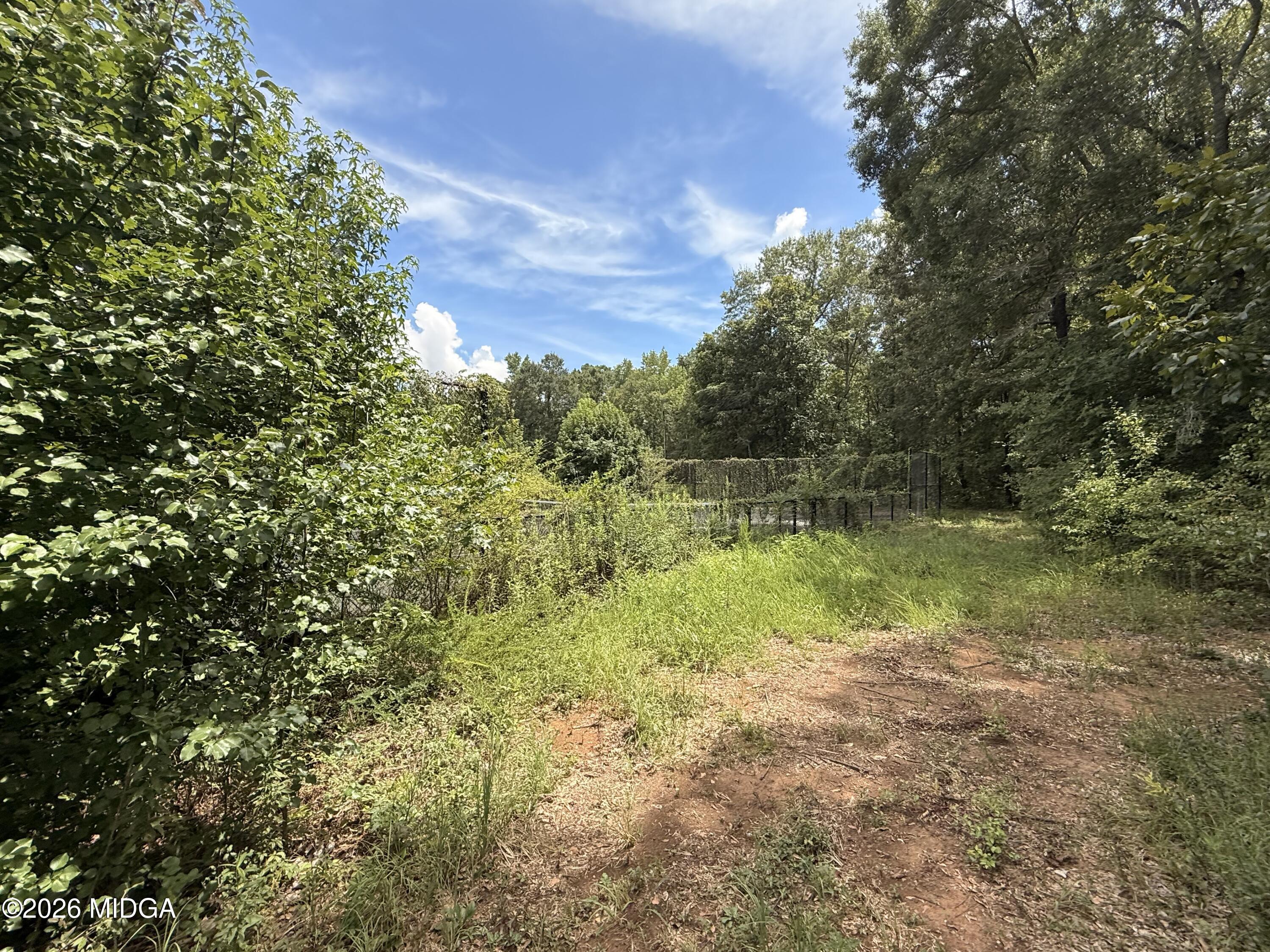 Land in Macon 2