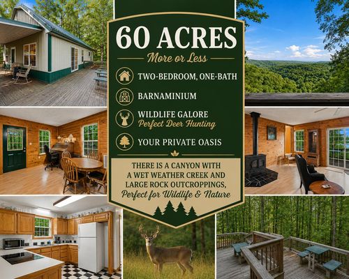 24709 Wolfe Rd, Washburn, MO, 65772-7504 | Card Image