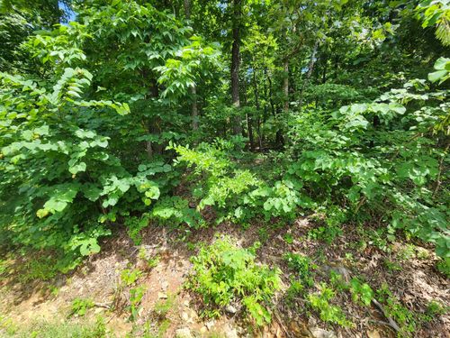 L37B12 N Lakeshore Dr, Cherokee Village, AR, 72529 | Card Image