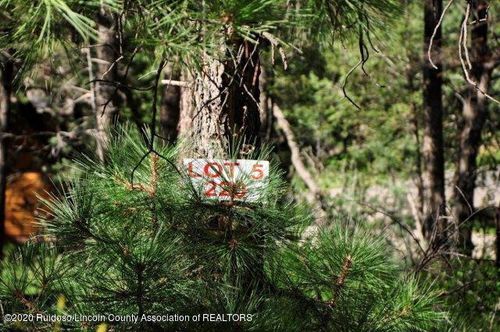 220 Cummings Dr, Ruidoso, NM, 88345-9105 | Card Image