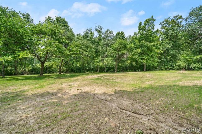 View of grassy yard featuring a forest view | Image 54