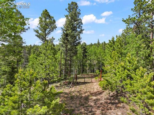 65 Spruce Creek Rd, Divide, CO, 80814-8120 | Card Image