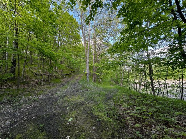road splits Shell lk.jpg | Image 6