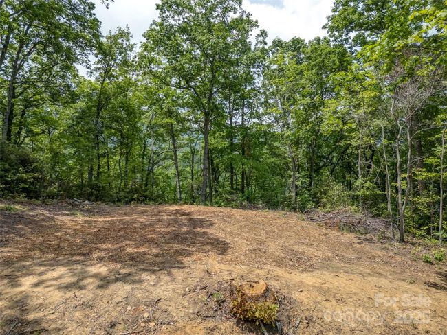 000 White Rock Branch Rd, Home with 0 bedrooms, 0 bathrooms and null parking in Candler NC | Image 7