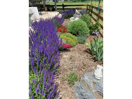 1033 Zodo Ave, Erie, CO, 80516-5424 | Card Image