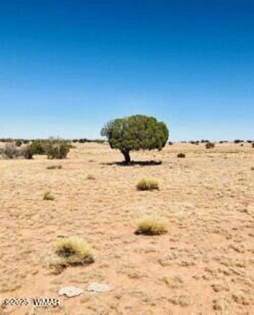 TBD N 6425, St. Johns, AZ, 85936 | Card Image