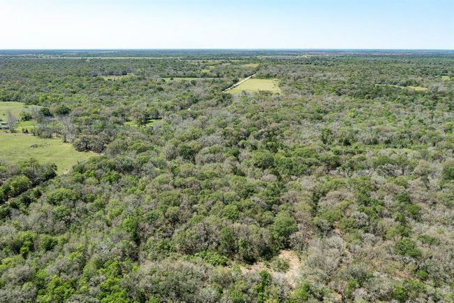 0 County Road 321, Home with 0 bedrooms, 0 bathrooms and null parking in Sweeny TX | Image 16