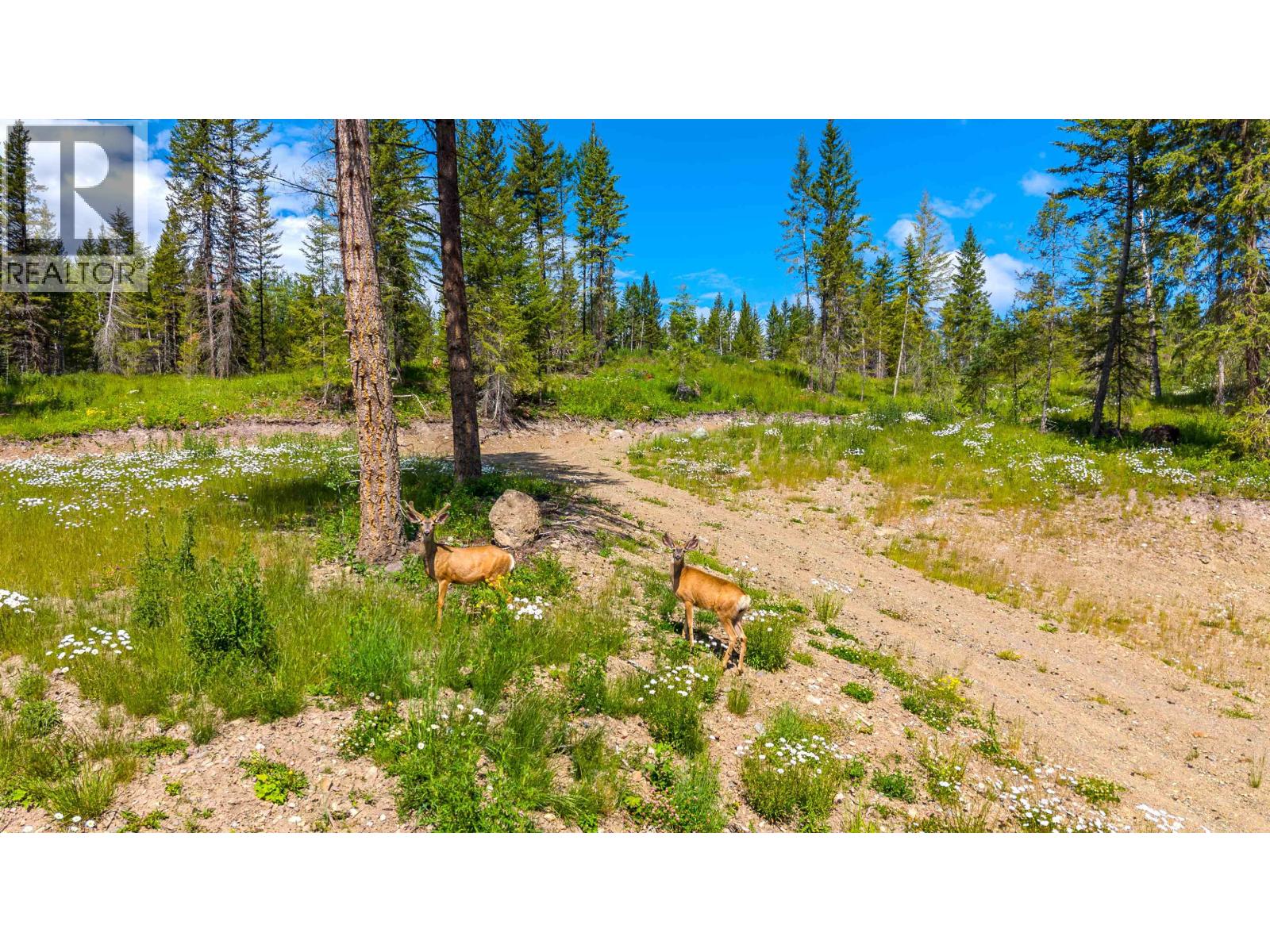 Land in Deka Lake / Sulphurous / Hathaway Lakes 5