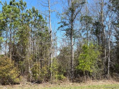 LOT-4 - 0 County Road 322, Home with 0 bedrooms, 0 bathrooms and null parking in Maplesville AL | Image 2