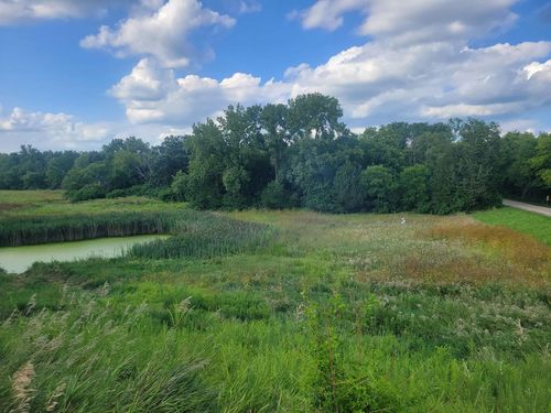 11071 Crimmin Rd, Newark, IL, 60541-9445 | Card Image