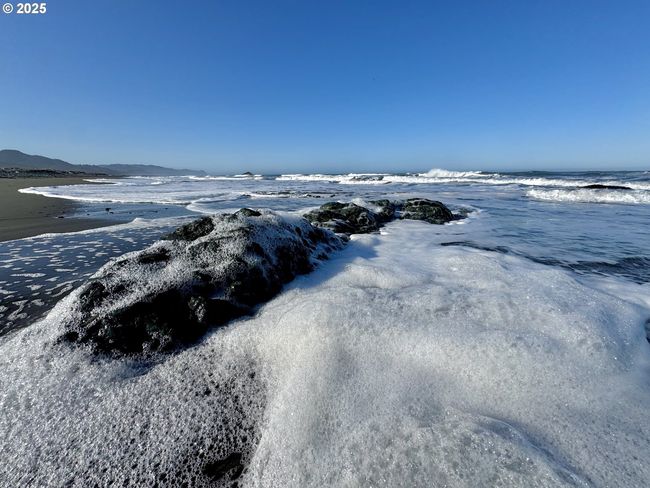 4 - 000 Old Coast Hwy, Home with 0 bedrooms, 0 bathrooms and null parking in Gold Beach OR | Image 10