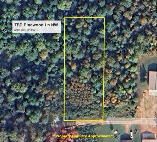 TBD Pinewood Lane Nw, Angle Inlet, MN, 56711 | Card Image