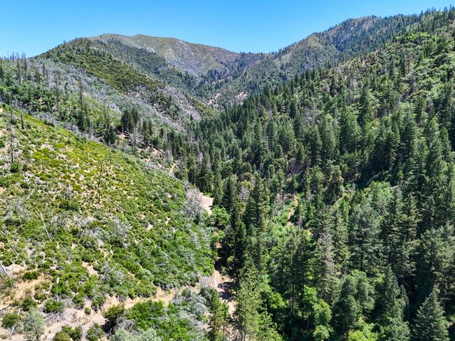 0000 E Fork Rd, Home with 0 bedrooms, 0 bathrooms and null parking in French Gulch CA | Image 51