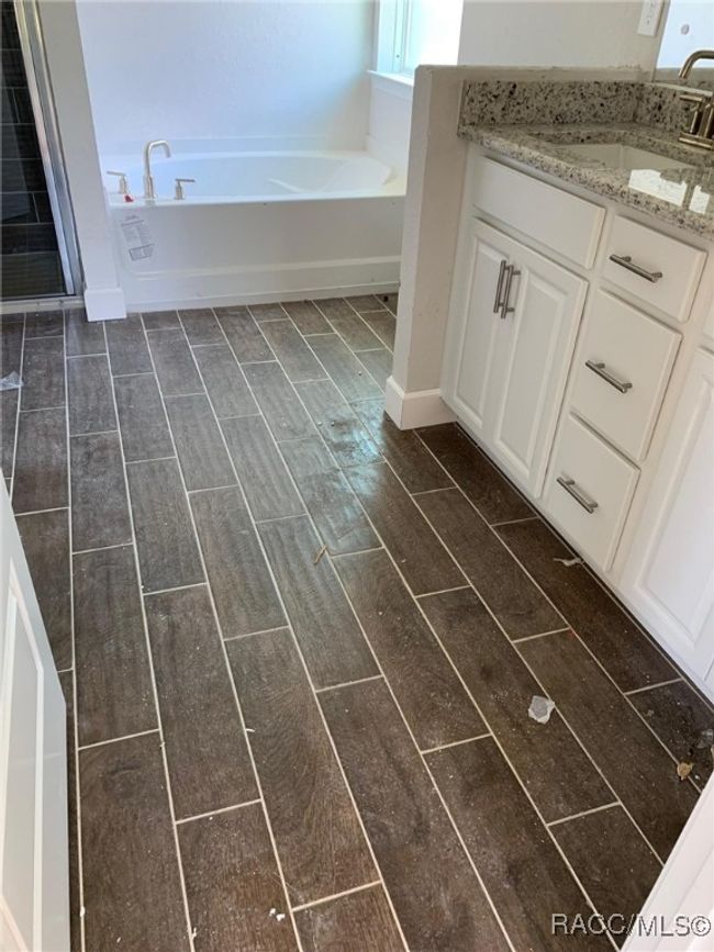 Actual owners bath- taken 4/17/2025 | Image 20