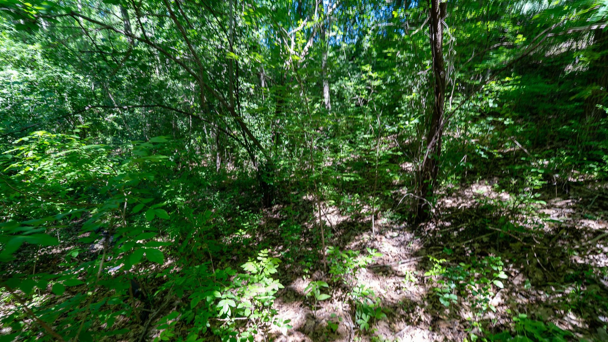 Land in Whitewater 4
