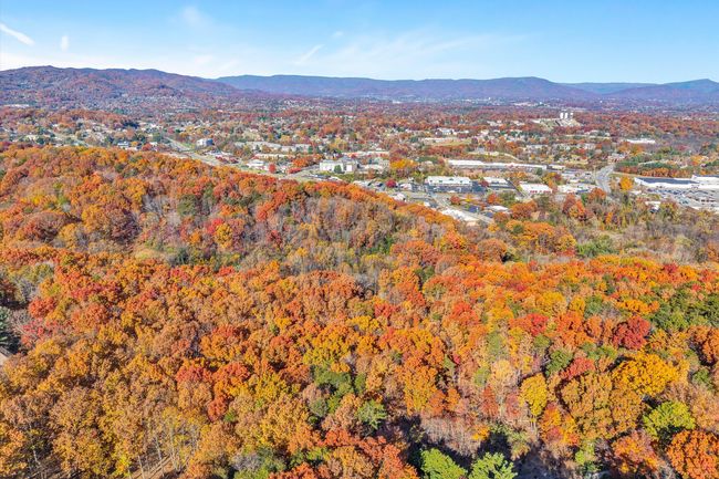 13-SGP-0038 | Image 16