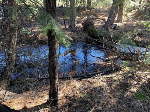 34 Princess Pine Place, Shingletown, CA, 96088 | Card Image