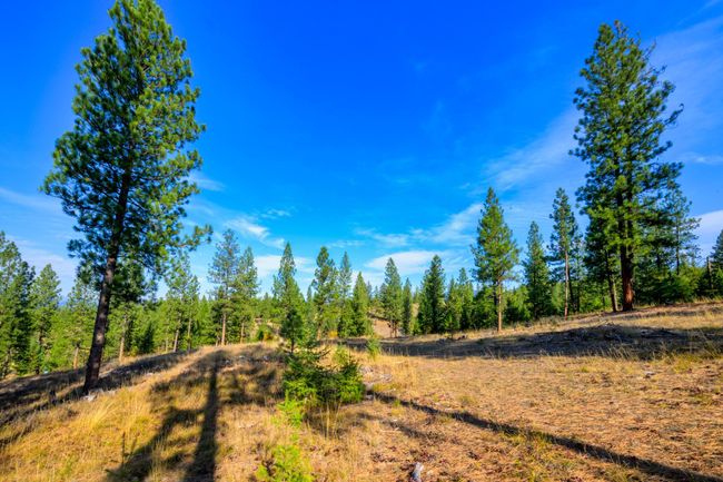 21029 Chisholm Trail Rd, House other with 3 bedrooms, 2 bathrooms and null parking in Huson MT | Image 36