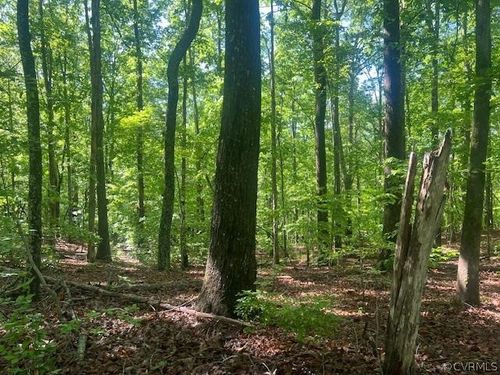 0 Davis Ln, Drakes Branch, VA, 23937 | Card Image