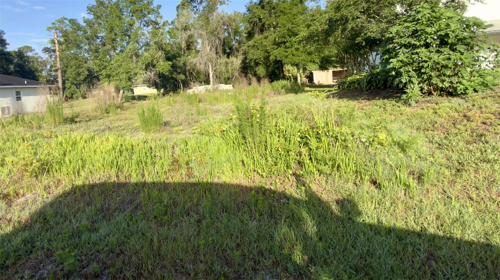 Land in DELAND