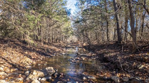 000 Timbercrest Rd, Viola, AR, 72583 | Card Image