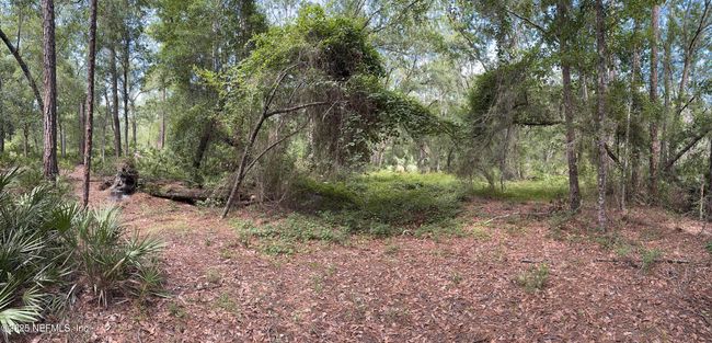332 Ward Ave, Home with 0 bedrooms, 0 bathrooms and null parking in CRESCENT CITY FL | Image 4