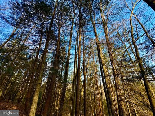 Lot 30 Wild Flower Way, Albright, WV, 26519 | Card Image