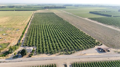 787 W Sutter Island Cross Rd, Courtland, CA, 95615-9724 | Card Image