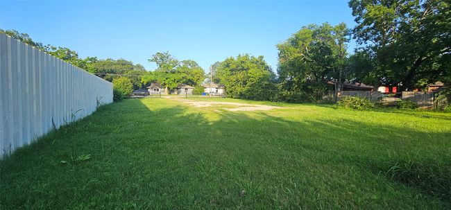 View of yard | Image 6