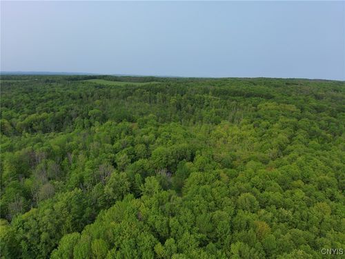 0000 Lynch Rd, Newport, NY, 13416 | Card Image