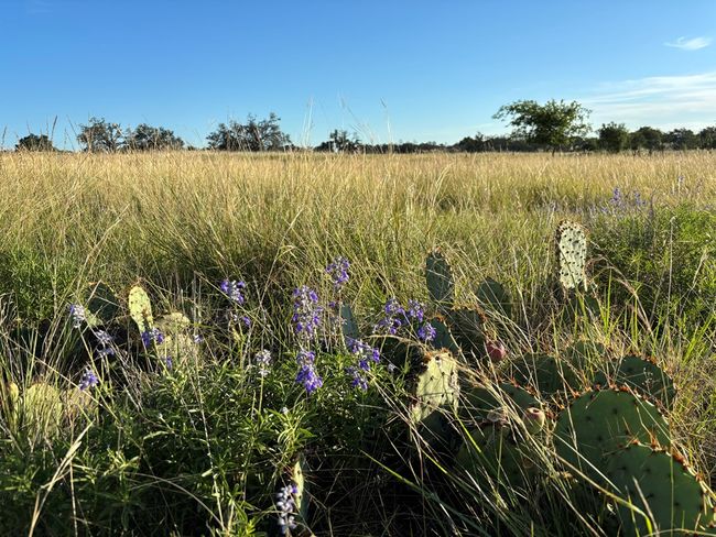 20 - 183 Lipan Loop Nw, Home with 0 bedrooms, 0 bathrooms and null parking in Harper TX | Image 7