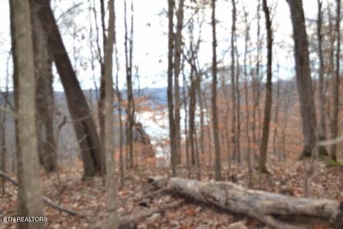 3415 Frogue Rd, Burkesville, KY, 42717 | Card Image