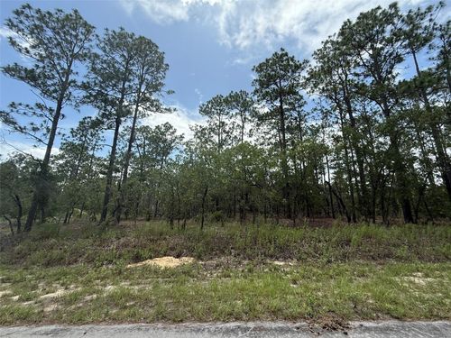 TBD Nw Tree Top Rd, DUNNELLON, FL, 34431 | Card Image