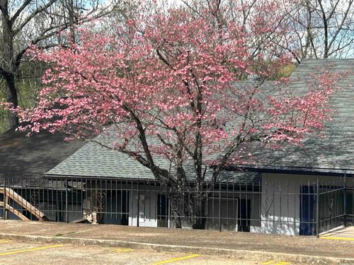 16 Akokisa Dr, Cherokee Village, AR, 72529-2143 | Card Image